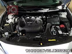 نيسان ماكسيما